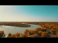 Κατασκευή της Ένωσης Νεολαίας της Σιντζιάνγκ